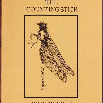 The Counting Stick by Glasgow Poet