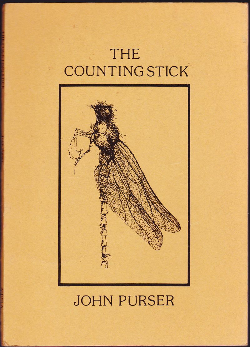 The Counting Stick by Glasgow Poet