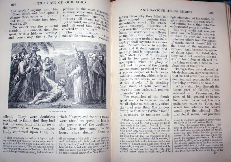 The Life of Our Blessed Lord and Saviour Jesus Christ - Image 7