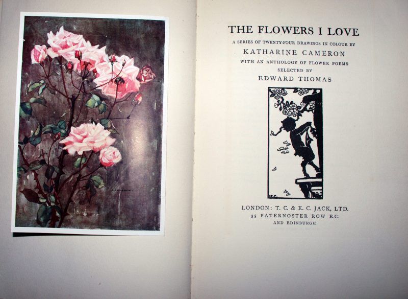 The Flowers I Love - Image 3