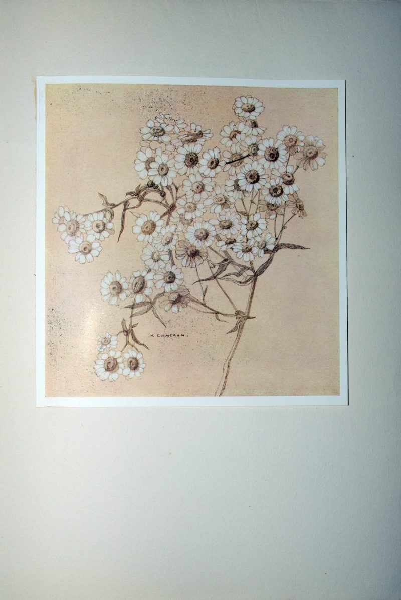 The Flowers I Love - Image 5