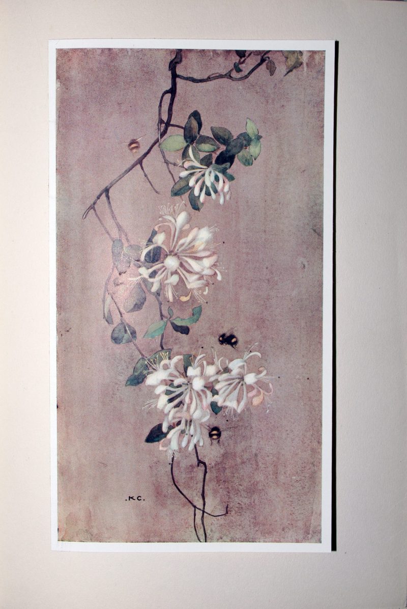 The Flowers I Love - Image 6